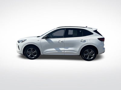 2024 Ford Escape Hybrid ST-Line