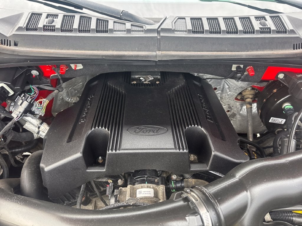 2019 Ford F-150 Base